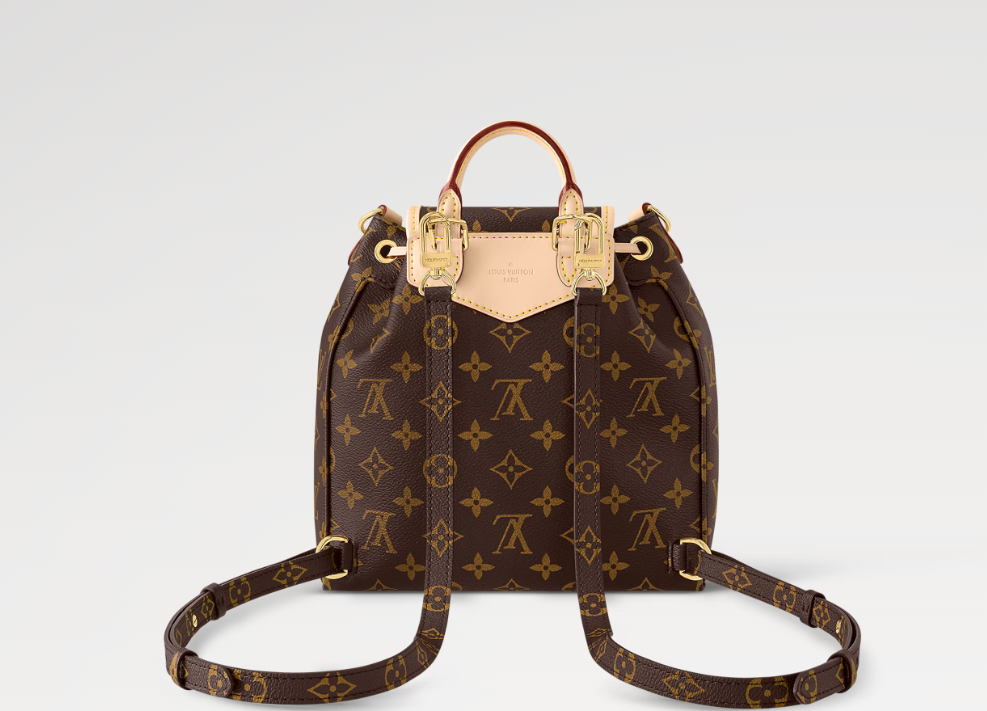 Louis Vuitton Excursion PM Backpack