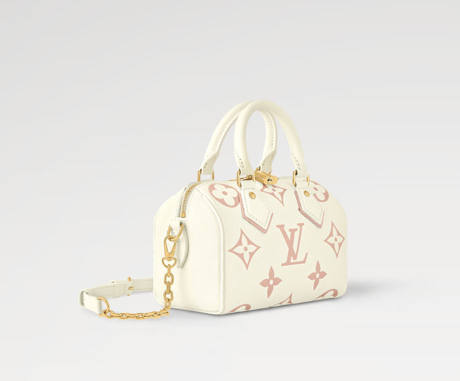 Louis Vuitton Speedy Bandoulière 20 Bag