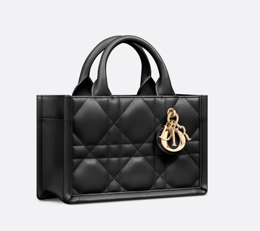 Medium Dior Book Tote