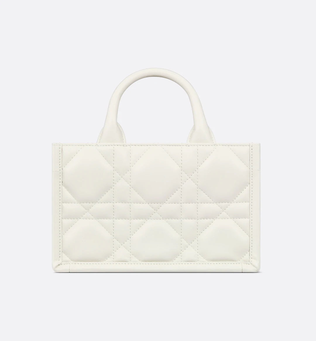 Mini Dior Book Tote