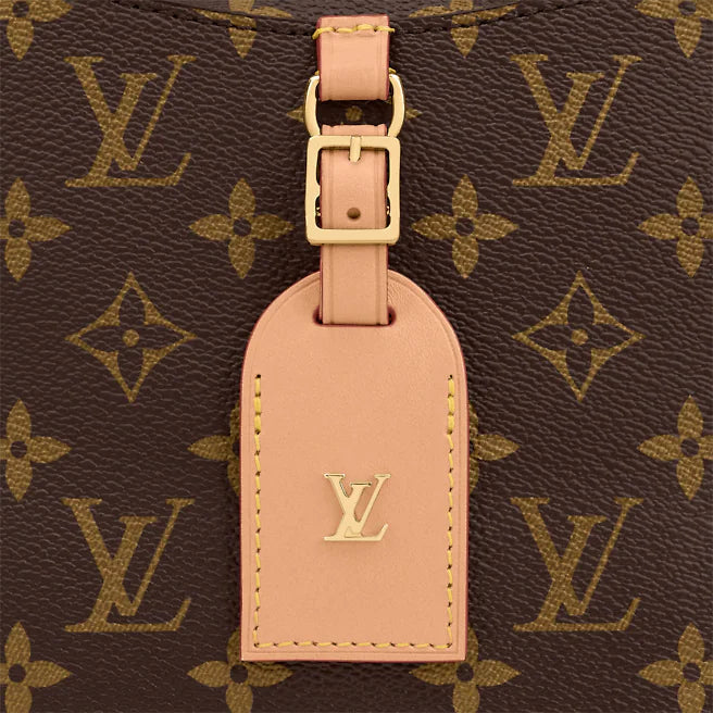 Louis Vuitton Odéon MM Handbags